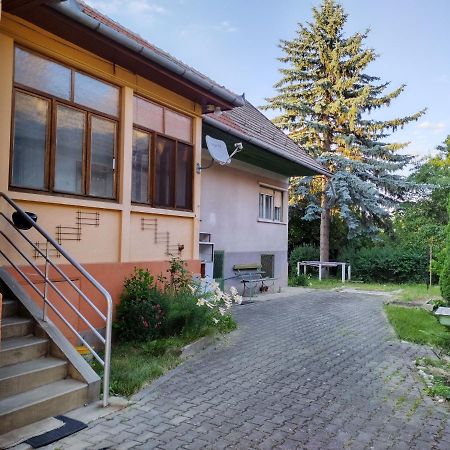 Zadora Haus Săcele Exterior foto